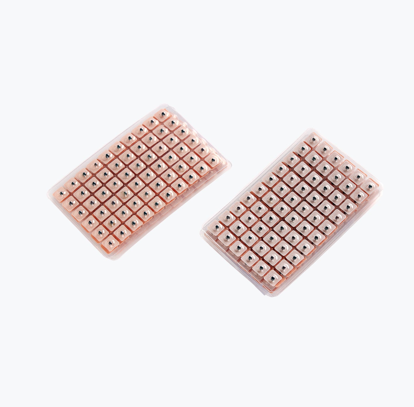 Sementes de Mostarda c/ adesivo cor de pele