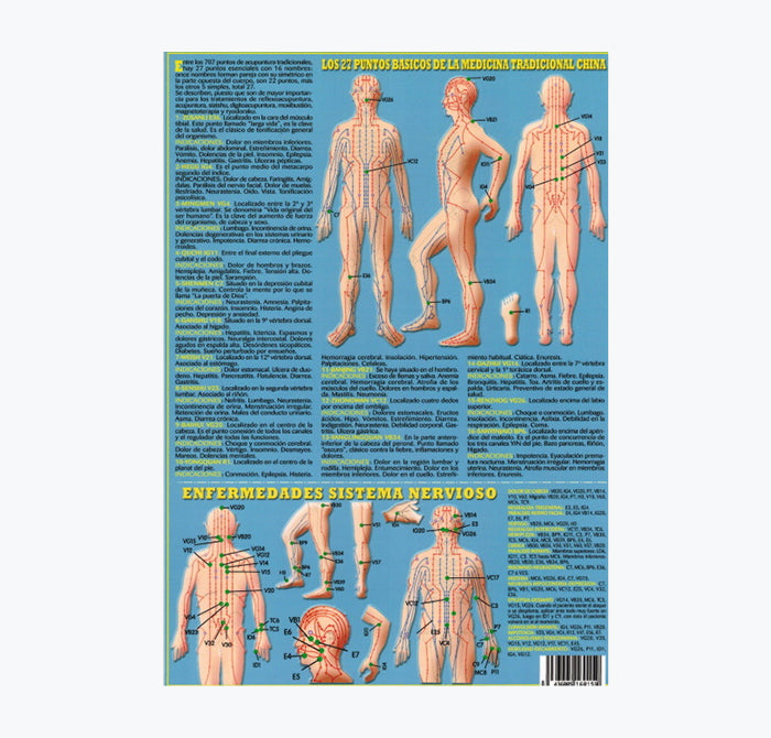 Mapa "Acupuntura Prática", 30x21 cm