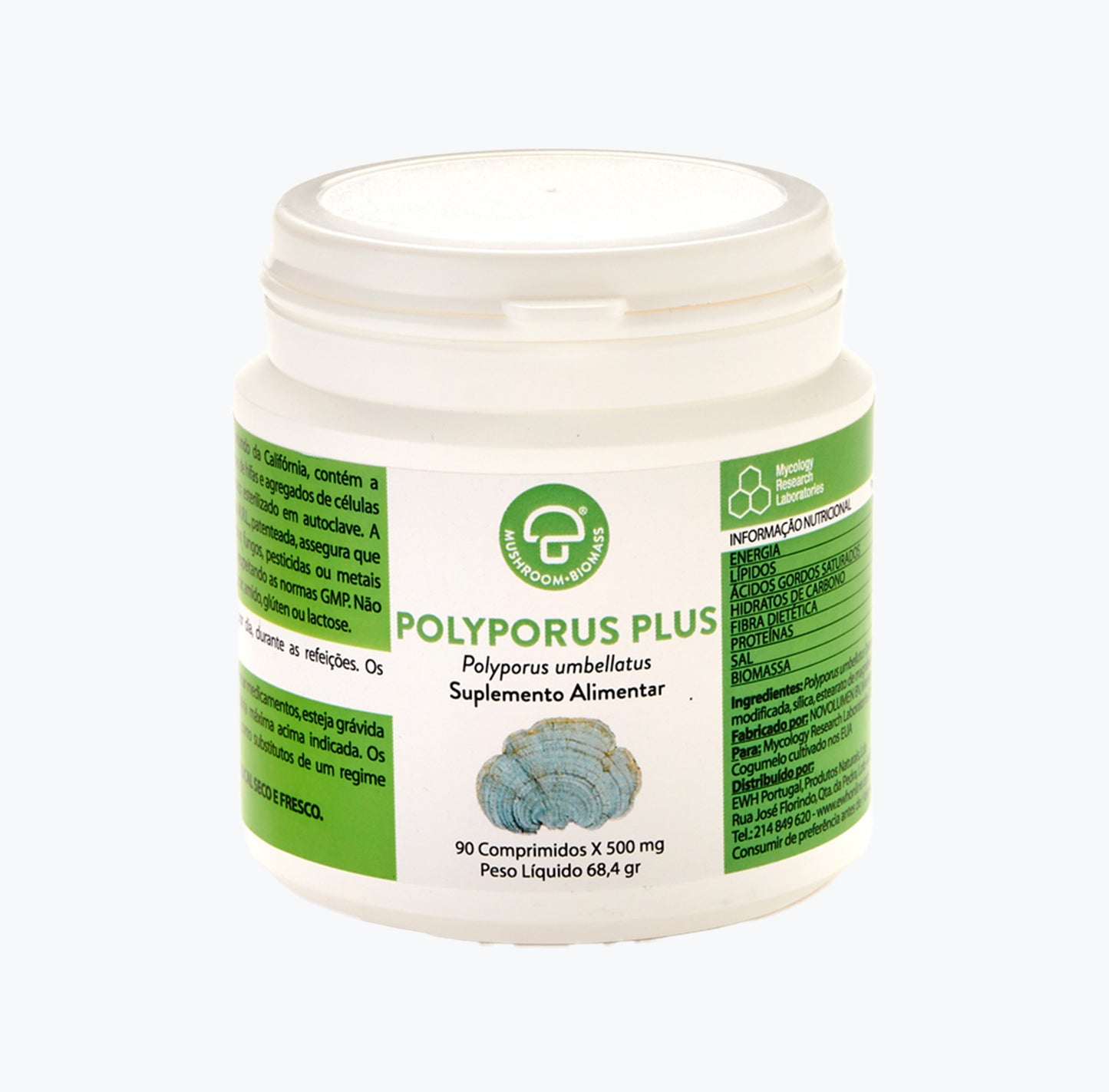 Polyporus umbellats (Polyporus Plus)