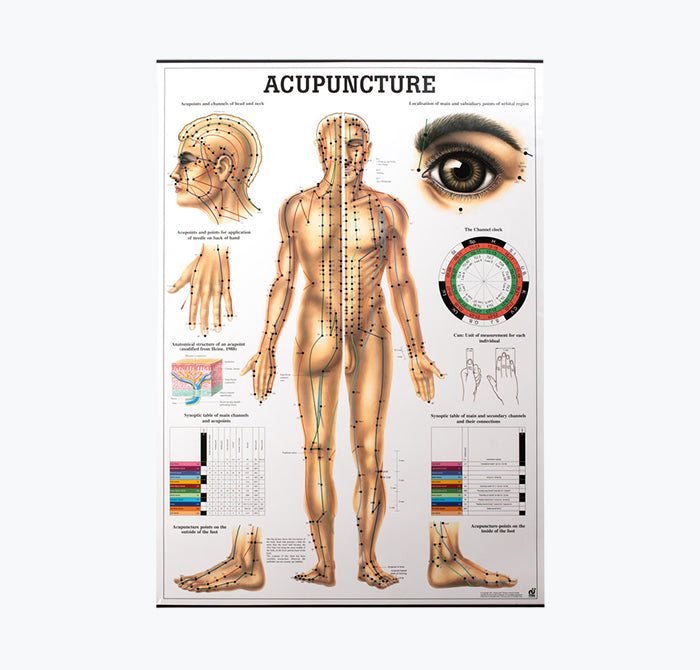 Mapa "Acupuncture"