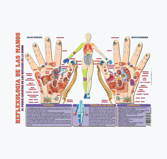 Mapa "Reflexologia de las Manos", 30x21 cm