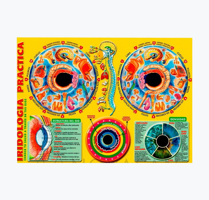 Mapa "Iridiologia Practica", 30x21 cm