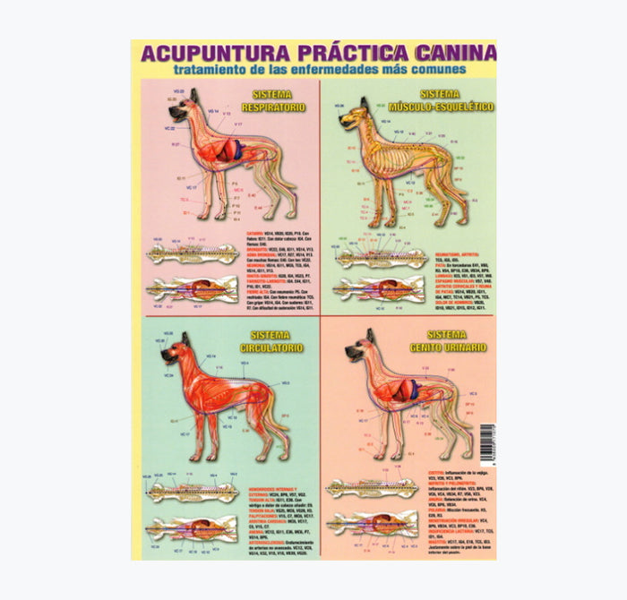 Mapa "Acupuntura Prática Canina", 30x21 cm