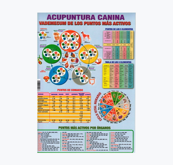 Mapa "Acupuntura Canina" , 30x21 cm