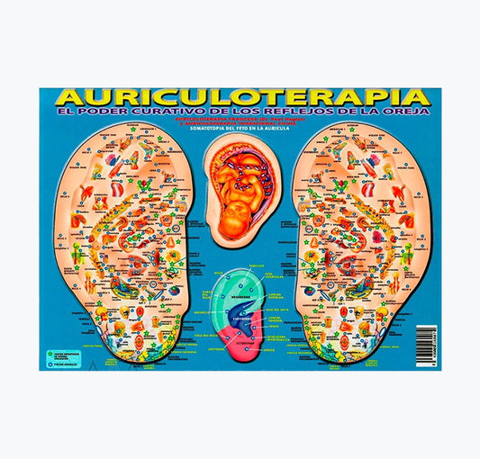 Mapa "Auriculaterapia el poder curativo"